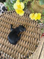 Clint, a male Maltipoo for sale in Tupelo, MS – 2 of 4