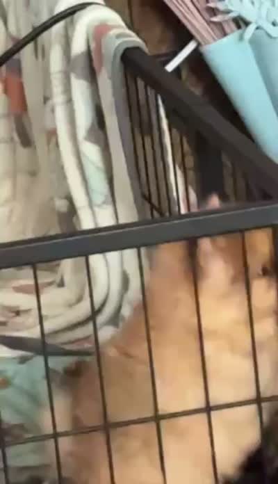 Facility video