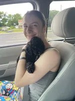 Thunder, a male Cockapoo for sale in Marshall, MN – 2 of 3