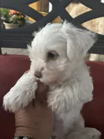 processed/45844450-cd1c-46d8-b700-b3bc9f9d0a72/facility/71ad471a-9ce9-450c-8f70-fefd3d3d8783