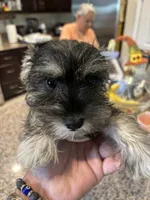 processed/45844450-cd1c-46d8-b700-b3bc9f9d0a72/facility/9270549a-a59f-476a-856f-03503d8bfa33