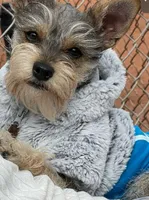 processed/45844450-cd1c-46d8-b700-b3bc9f9d0a72/facility/96b4a62d-5256-4150-bba7-92b283b67546