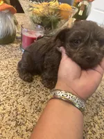 processed/45844450-cd1c-46d8-b700-b3bc9f9d0a72/facility/a15dec72-1e96-4955-9c85-cf0d680a8dab