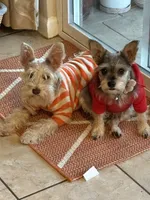 processed/45844450-cd1c-46d8-b700-b3bc9f9d0a72/facility/f82cb4d9-3be1-4bd4-8b66-cd7d902ff58c