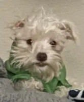 processed/45844450-cd1c-46d8-b700-b3bc9f9d0a72/listing/6145a054-0630-4ee9-b076-e70db0f56f73/34ed5f8f-3b05-4452-976a-8173faa5f1e4