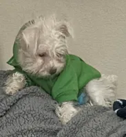 processed/45844450-cd1c-46d8-b700-b3bc9f9d0a72/listing/6145a054-0630-4ee9-b076-e70db0f56f73/578ec5bd-3fc7-4207-aa98-e3332f8a005d