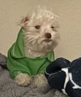 processed/45844450-cd1c-46d8-b700-b3bc9f9d0a72/listing/6145a054-0630-4ee9-b076-e70db0f56f73/aa3eb22f-3a36-4794-a8b2-98cce83940ab