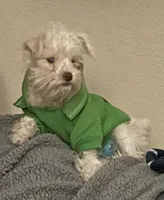 processed/45844450-cd1c-46d8-b700-b3bc9f9d0a72/listing/6145a054-0630-4ee9-b076-e70db0f56f73/f13bc3f3-62a2-49f7-b2a8-6dbce189757a