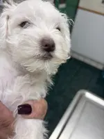 processed/45844450-cd1c-46d8-b700-b3bc9f9d0a72/listing/6145a054-0630-4ee9-b076-e70db0f56f73/fa5170a7-0741-4801-800b-e4c63c1d3d7c