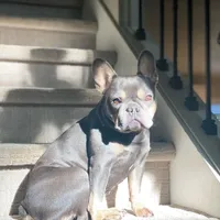 processed/45858a40-714d-4179-b0a9-3c1666b72668/facility/062f8c39-c584-4113-8ddf-5f8f45f7debc