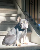 processed/45858a40-714d-4179-b0a9-3c1666b72668/facility/062f8c39-c584-4113-8ddf-5f8f45f7debc