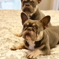 processed/45858a40-714d-4179-b0a9-3c1666b72668/facility/10a32056-ff11-4ca5-950d-5a97825744cf