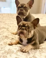 processed/45858a40-714d-4179-b0a9-3c1666b72668/facility/10a32056-ff11-4ca5-950d-5a97825744cf