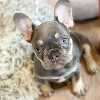 processed/45858a40-714d-4179-b0a9-3c1666b72668/facility/37f7804d-af01-4bfc-a448-e37c2682f620