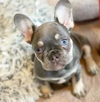 processed/45858a40-714d-4179-b0a9-3c1666b72668/facility/37f7804d-af01-4bfc-a448-e37c2682f620