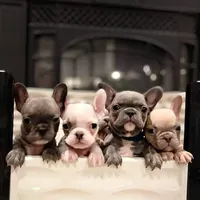 processed/45858a40-714d-4179-b0a9-3c1666b72668/facility/82cbda77-e0ed-4872-81cc-0603aa9249d6