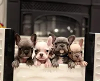 processed/45858a40-714d-4179-b0a9-3c1666b72668/facility/82cbda77-e0ed-4872-81cc-0603aa9249d6