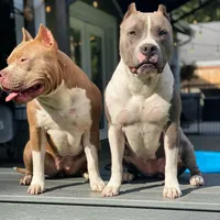 processed/45858a40-714d-4179-b0a9-3c1666b72668/facility/8d1b5786-a3d7-4e0e-87b8-e36c06305e73