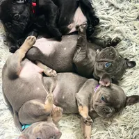 processed/45858a40-714d-4179-b0a9-3c1666b72668/facility/94731c8e-0085-4c83-b69f-562774372ca4