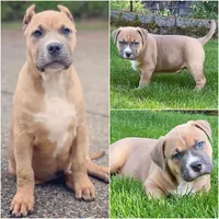 processed/45858a40-714d-4179-b0a9-3c1666b72668/facility/9c77b3e7-a0a9-428c-9045-01ea3cef9213