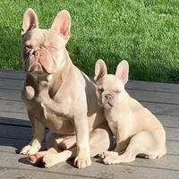 processed/45858a40-714d-4179-b0a9-3c1666b72668/facility/bbe8e0e0-e0fa-4529-927b-aa5451c7cc5e