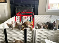 processed/45858a40-714d-4179-b0a9-3c1666b72668/facility/c7b16815-99cb-4a1c-9540-05c7076cc1be