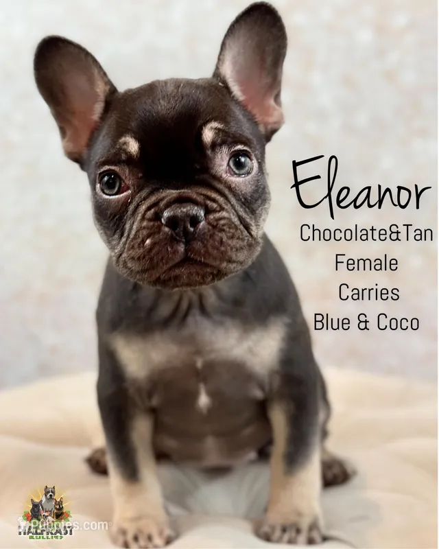 Eleanor