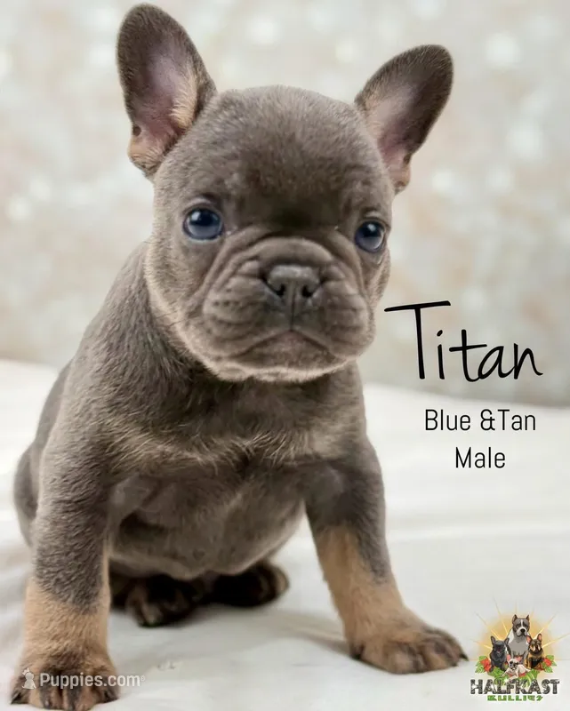 Titan