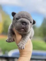 processed/45858a40-714d-4179-b0a9-3c1666b72668/listing/e6ed66b1-1128-44ff-a765-dc36408638c6/2c7c6698-11fc-4e65-ae07-c9d0be318f68