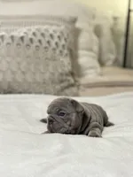 processed/45858a40-714d-4179-b0a9-3c1666b72668/listing/e6ed66b1-1128-44ff-a765-dc36408638c6/3a400583-a422-4aad-8da0-7579e052bc1a