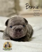 processed/45858a40-714d-4179-b0a9-3c1666b72668/listing/e6ed66b1-1128-44ff-a765-dc36408638c6/5d3f147b-a6b0-435f-8177-b48abc333415