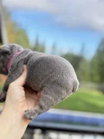 processed/45858a40-714d-4179-b0a9-3c1666b72668/listing/e6ed66b1-1128-44ff-a765-dc36408638c6/7b47a035-1538-46ca-b922-2e3f67553aa4