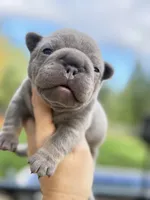 processed/45858a40-714d-4179-b0a9-3c1666b72668/listing/e6ed66b1-1128-44ff-a765-dc36408638c6/85777402-a1bb-4937-87a0-e8f6198a79c8