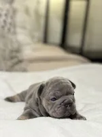 processed/45858a40-714d-4179-b0a9-3c1666b72668/listing/e6ed66b1-1128-44ff-a765-dc36408638c6/91043fbc-f916-42f7-bf8f-db74dae2a8bd