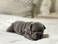 processed/45858a40-714d-4179-b0a9-3c1666b72668/listing/e6ed66b1-1128-44ff-a765-dc36408638c6/9b9dee60-f5a9-42fe-8a30-f9b97f5098d8