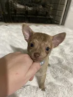 processed/458b10da-faea-41a8-8e6e-27b1d58e69e9/listing/f83e37f9-3566-4d42-aaf9-91e72f8ea92b/1462f6ce-8aea-4b1c-89d6-0d50548d3328