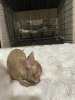 processed/458b10da-faea-41a8-8e6e-27b1d58e69e9/listing/f83e37f9-3566-4d42-aaf9-91e72f8ea92b/7dbde10e-2755-4e86-a440-ba01bb928a47