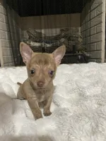 processed/458b10da-faea-41a8-8e6e-27b1d58e69e9/listing/f83e37f9-3566-4d42-aaf9-91e72f8ea92b/a116cb1f-9874-41f6-abc7-45788f141441