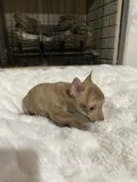 processed/458b10da-faea-41a8-8e6e-27b1d58e69e9/listing/f83e37f9-3566-4d42-aaf9-91e72f8ea92b/e2010a08-2e59-4f2f-81e1-f72cf34d5126