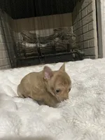 processed/458b10da-faea-41a8-8e6e-27b1d58e69e9/listing/f83e37f9-3566-4d42-aaf9-91e72f8ea92b/ec572af2-17d7-47f8-855b-22f3dda73aa2