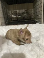 processed/458b10da-faea-41a8-8e6e-27b1d58e69e9/listing/f83e37f9-3566-4d42-aaf9-91e72f8ea92b/fc326fa1-e596-40ad-8d3c-eafd09264ef0