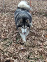 processed/458c57df-74b9-4150-9c81-c295c90c9cf9/listing/04ac1c59-8a53-4228-bdb4-bc02b67dedf2/54448311-2dd4-4eff-8d33-c7cdb6d77c0e