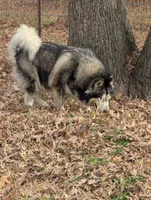 processed/458c57df-74b9-4150-9c81-c295c90c9cf9/listing/04ac1c59-8a53-4228-bdb4-bc02b67dedf2/c6d2e9a8-ce1c-48f7-9a79-ea0c554e99e0