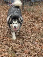 processed/458c57df-74b9-4150-9c81-c295c90c9cf9/listing/04ac1c59-8a53-4228-bdb4-bc02b67dedf2/cdb74c49-7c1b-4f18-b83e-c03d9ea5bfe0