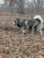 processed/458c57df-74b9-4150-9c81-c295c90c9cf9/listing/04ac1c59-8a53-4228-bdb4-bc02b67dedf2/f4f8e421-747e-473e-9507-e3423fb2fa71