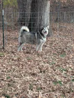 processed/458c57df-74b9-4150-9c81-c295c90c9cf9/listing/09b63ffd-1417-458f-9f27-de70a559f19a/0ee38fc9-9f74-43e7-bf19-a5619f8bfb99