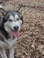 processed/458c57df-74b9-4150-9c81-c295c90c9cf9/listing/09b63ffd-1417-458f-9f27-de70a559f19a/77ef5a62-6616-4bb9-900f-57c74863e70b