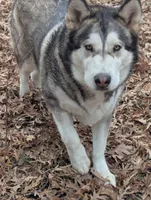 processed/458c57df-74b9-4150-9c81-c295c90c9cf9/listing/09b63ffd-1417-458f-9f27-de70a559f19a/8b65e964-4717-4ed1-ac89-81178b9c2535