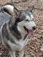 processed/458c57df-74b9-4150-9c81-c295c90c9cf9/listing/09b63ffd-1417-458f-9f27-de70a559f19a/b39e4899-9744-4bab-8aa9-5a45092f5378