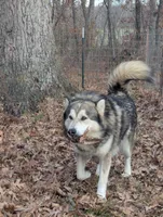 processed/458c57df-74b9-4150-9c81-c295c90c9cf9/listing/0fb9ddf5-69cf-4893-a173-6ab855100a1b/06230929-6284-4eb2-a474-20c2cefeb07a